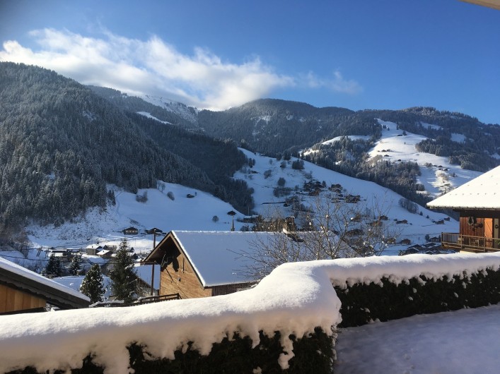 Location de vacances - Chalet à Arêches - Vue du jardin en hiver