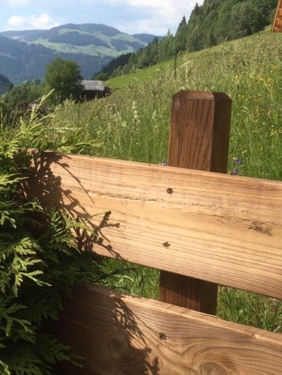 Location de vacances - Chalet à Arêches - Vue sur les prairies côté Nord