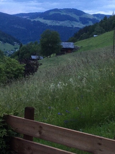 Location de vacances - Chalet à Arêches - Vue sur les prairies côté Nord