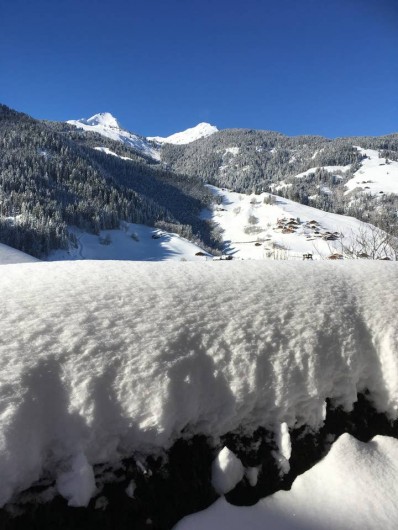 Location de vacances - Chalet à Arêches - Vue du jardin côté ouest et sur les montagnes enneigées