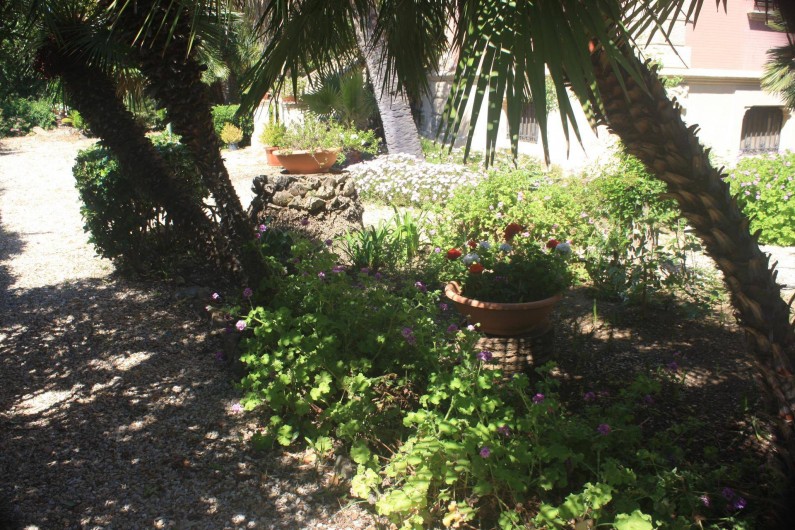 Location de vacances - Appartement à Santa Marinella - le jardin