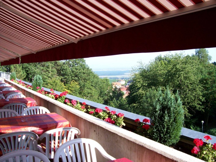 Location de vacances - Hôtel - Auberge à Husseren-les-Châteaux - Terrasse du Restaurant