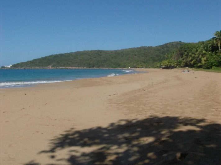 Location de vacances - Gîte à Deshaies - la plage de la perle à 1,5 km du gîte