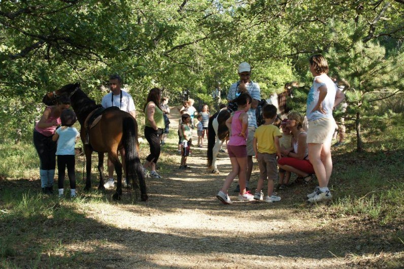 Location de vacances - Camping à Bauduen - Balade en poneys...