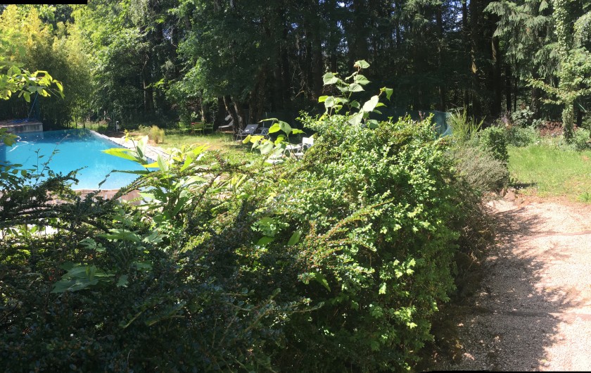 Location de vacances - Mas à Frayssinhes - vue piscine de 13 m long avec débordement
