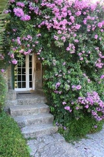 Location de vacances - Chambre d'hôtes à Vila Chã do Marão