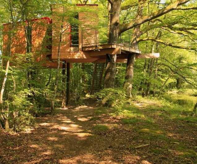 Location de vacances - Cabane dans les arbres à Saint-Vérain - Le Nid sur l'Eau, capacité : 2 adultes et 4 enfants