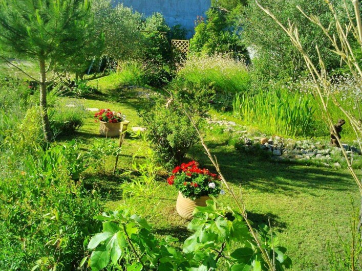 Location de vacances - Maison - Villa à Cheval-Blanc - le refuge des oiseaux de toutes sortes