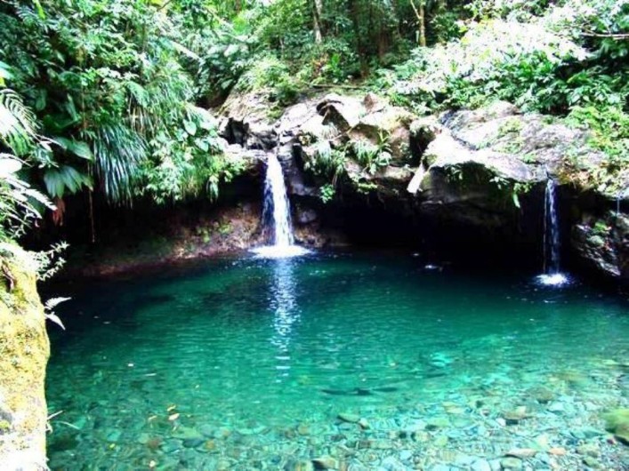 Location de vacances - Villa à Douville - Bassin paradis en pleine forêt tropicale à 1h20 de chez nous.