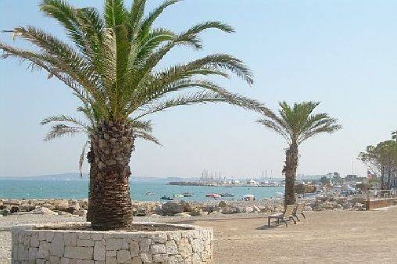 Location de vacances - Studio à Villeneuve-Loubet