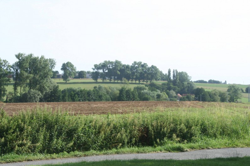 Location de vacances - Gîte à Wodecq - Vue depuis l'intérieur et également depuis la terrasse.