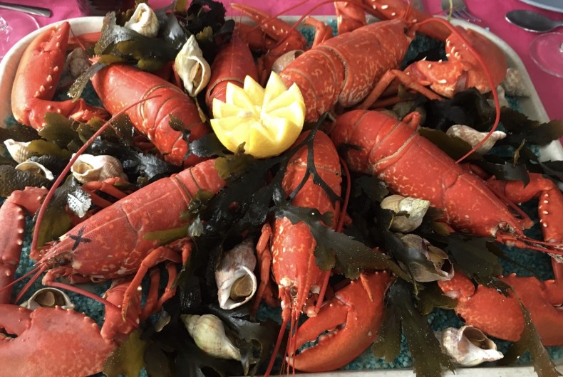 Location de vacances - Villa à Créances - Les petits plaisirs de la côte