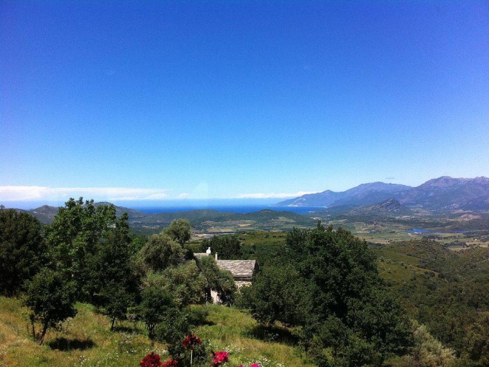 Location de vacances - Maison - Villa à Rapale - Vue en montant au-dessus de la maison