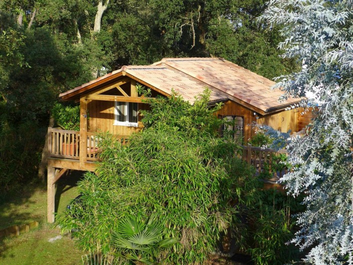 Location de vacances - Chalet à Labenne-Océan