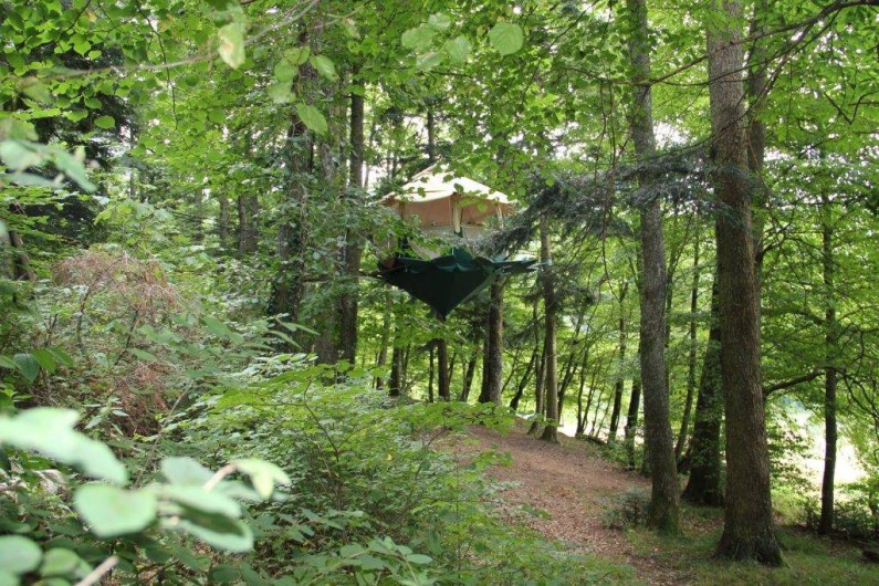 Location de vacances - Cabane dans les arbres à Buhl