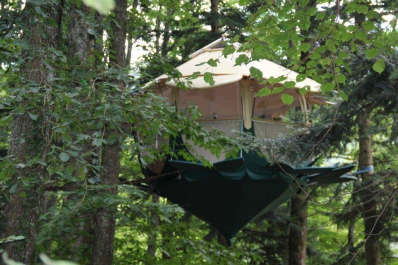 Location de vacances - Cabane dans les arbres à Buhl