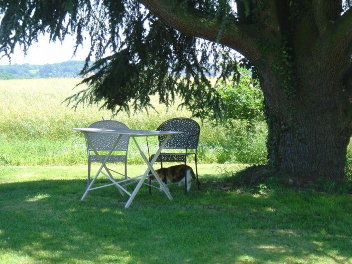 Location de vacances - Chambre d'hôtes à Taponas