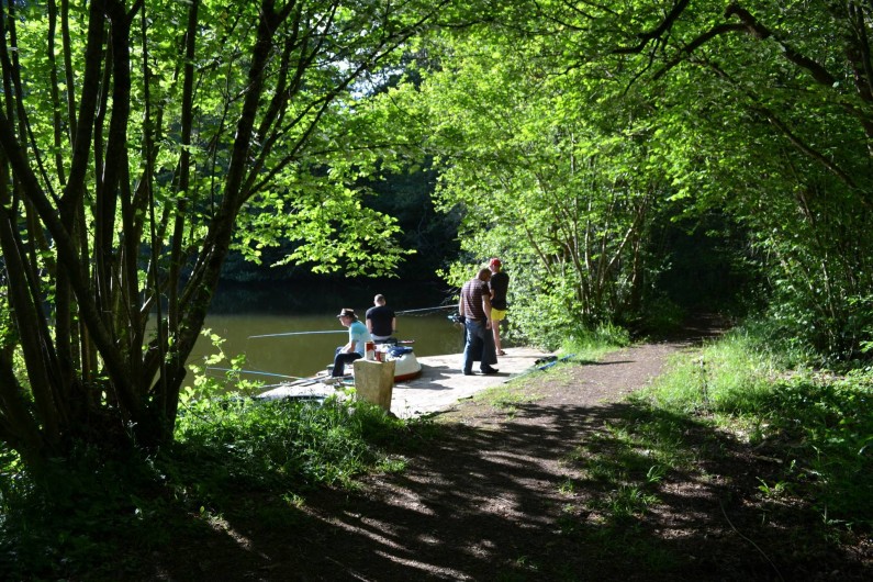 Location de vacances - Gîte à La Baconnière - Pêche no kill sur place