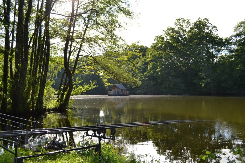 Location de vacances - Gîte à La Baconnière - Pêche no kill sur place