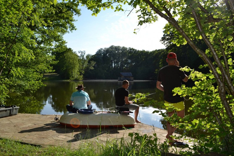 Location de vacances - Gîte à La Baconnière - Pêche no kill sur place