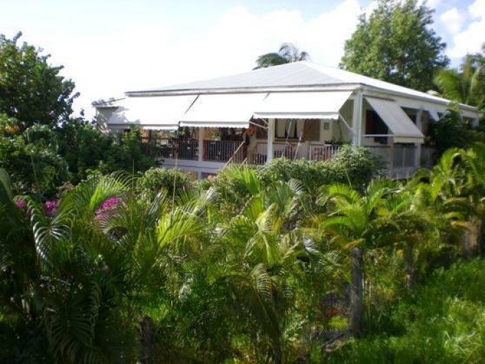 Location de vacances - Appartement à Deshaies - VILLA LE SAFRAN-                LE TRIKELL ,vue mer,dans son jardin tropical .