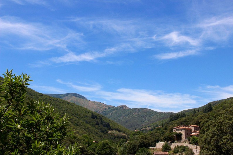 Location de vacances - Gîte à Notre-Dame-de-la-Rouvière - Le Mas dans son écrin