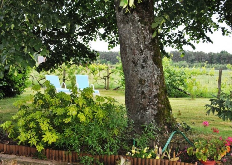 Location de vacances - Gîte à Paulmy - Jardin paysagé avec transats et bain de soleil  Petits fruitiers pour nos hôtes,
