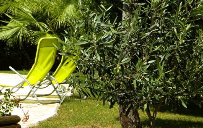 Location de vacances - Appartement à Saint-Raphaël