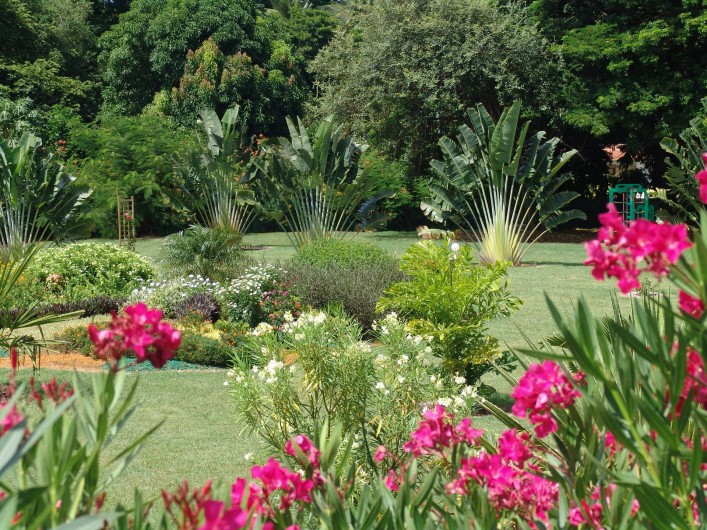 Location de vacances - Bungalow - Mobilhome à Le François - le magnifique parc de la Route des épices.