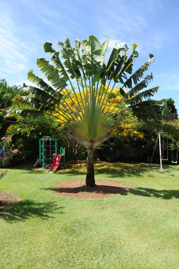 Location de vacances - Bungalow - Mobilhome à Le François - une partie du parc et des jeux pour enfants.