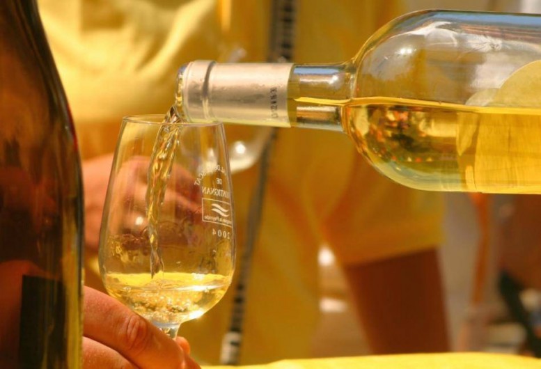 Location de vacances - Hôtel - Auberge à Frontignan