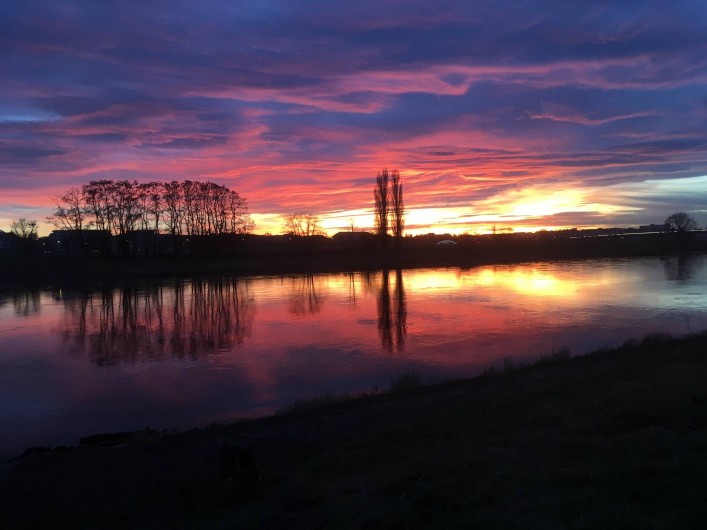Location de vacances - Appartement à Dresde - Coucher du soleil au bord du fleuve d'Elbe