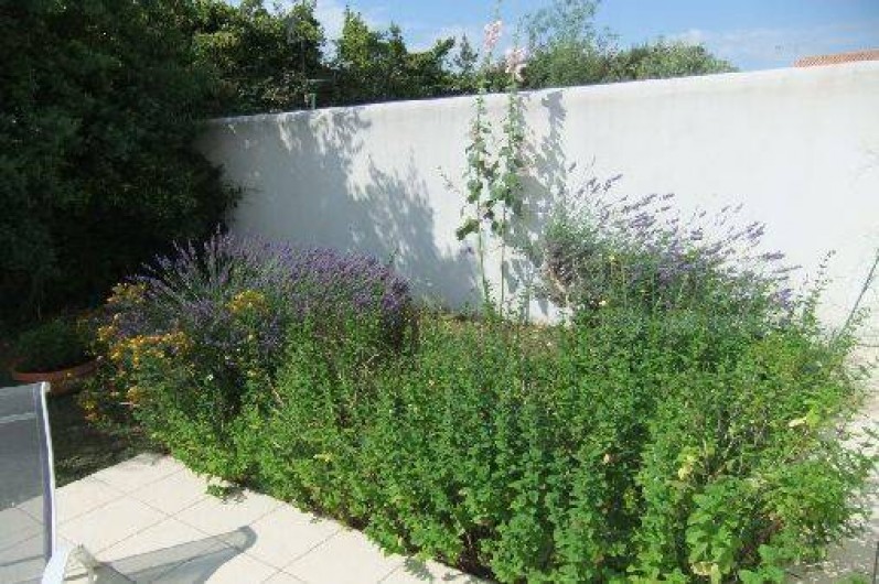 Location de vacances - Maison - Villa à Saint-Martin-de-Ré