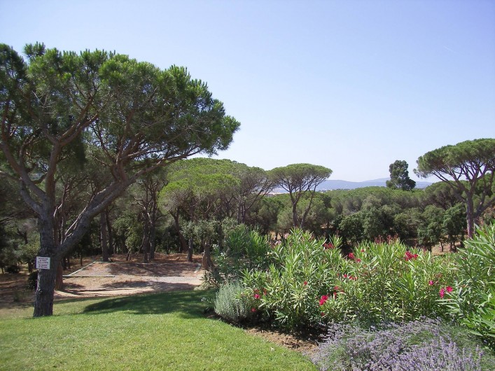 Location de vacances - Appartement à Sainte-Maxime
