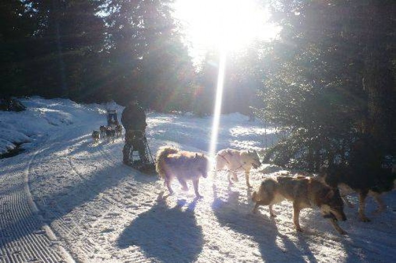 Location de vacances - Appartement à Chamrousse