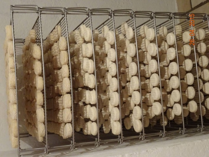 Location de vacances - Mas à Mialet - bergerie à proximité pour achat de Pélardon AOC