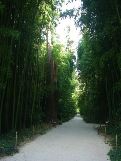 Location de vacances - Mas à Mialet - la bambouseraie d'anduze