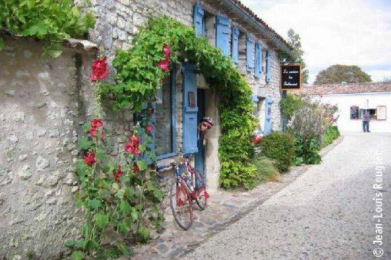 Location de vacances - Appartement à Talmont-sur-Gironde