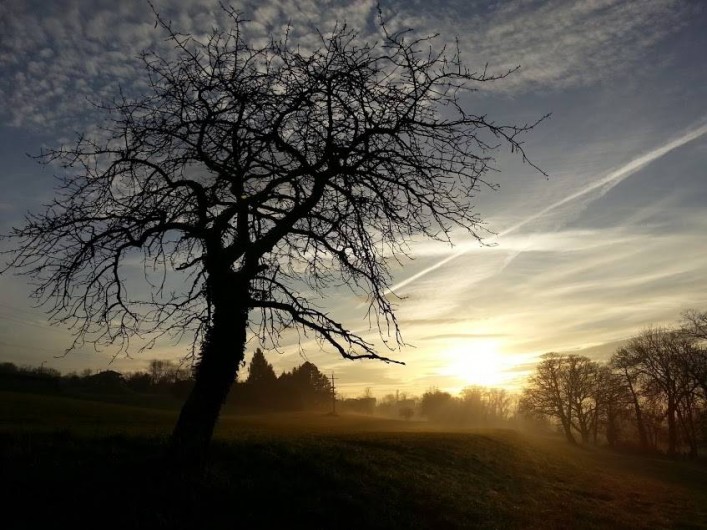 Location de vacances - Chalet à Marin