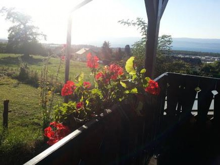 Location de vacances - Chalet à Marin