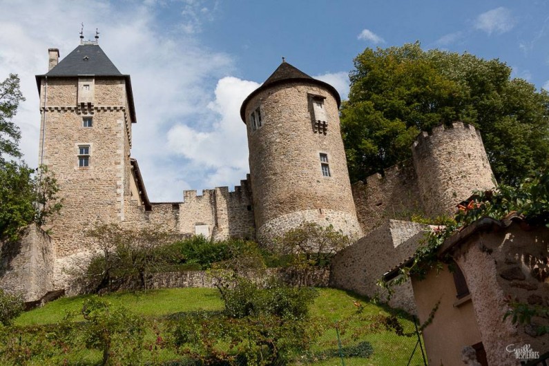 Location de vacances - Gîte à Châteldon - Vue sur le château du                13   eme siècle