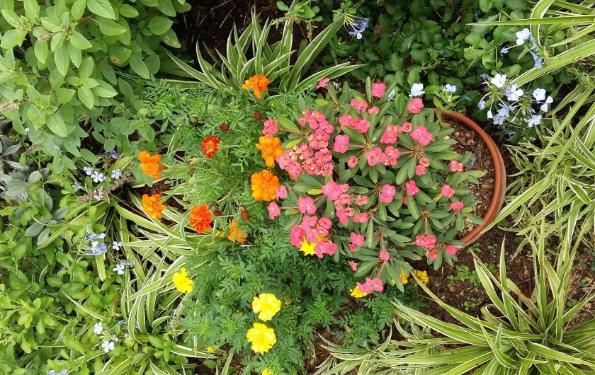 Location de vacances - Villa à Sainte Rose