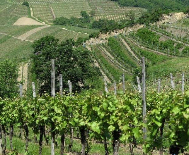 Location de vacances - Gîte à Albé