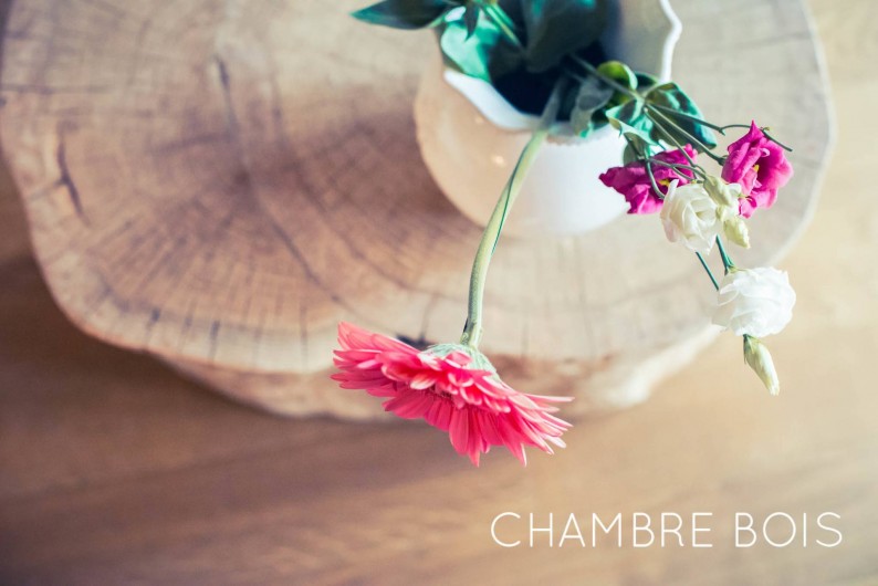 Location de vacances - Chambre d'hôtes à Sainte-Maure - Chambre Bois