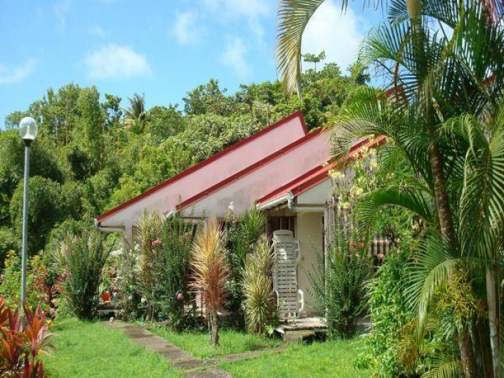 Location de vacances - Studio à La Trinité - Coté jardin les fleurs et les crotons