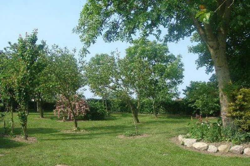 Location de vacances - Gîte à Nibas - notre jardin