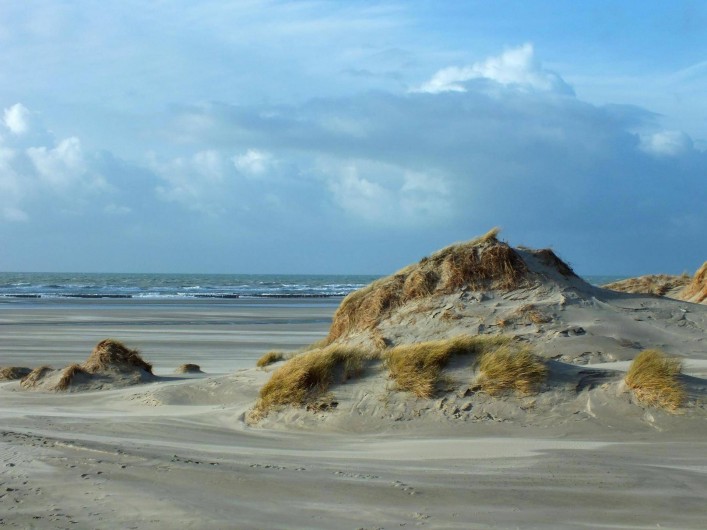 Location de vacances - Gîte à Nibas - les dunes proches du gîte
