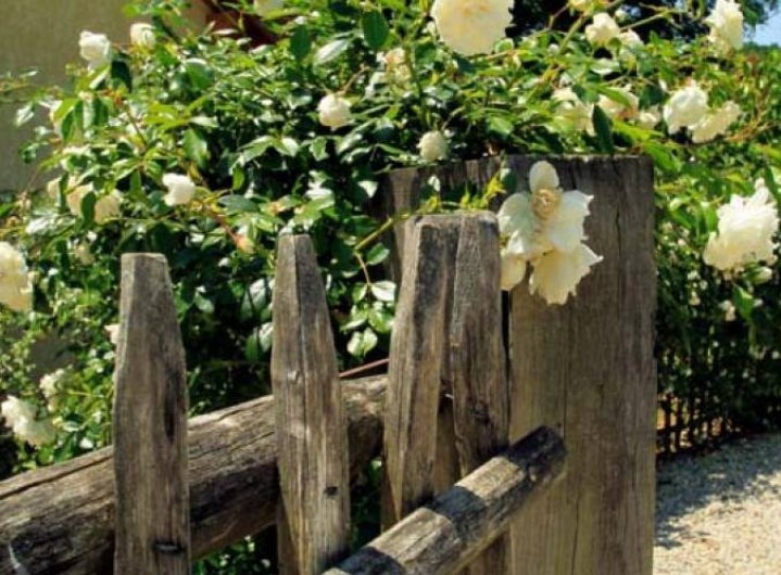 Location de vacances - Chambre d'hôtes à Brignac-la-Plaine