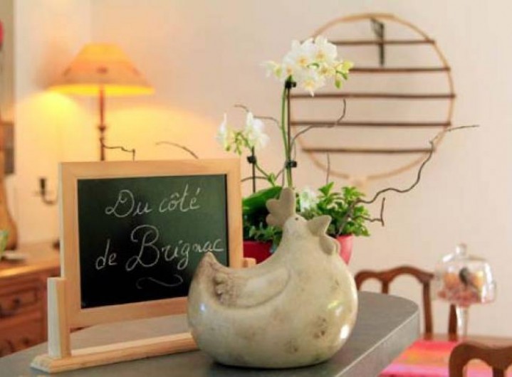 Location de vacances - Chambre d'hôtes à Brignac-la-Plaine