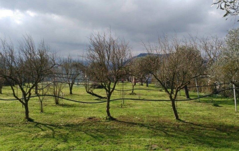 Location de vacances - Chalet à Guspini - Le terrain de 1500 m2 sur lequel se situe la location